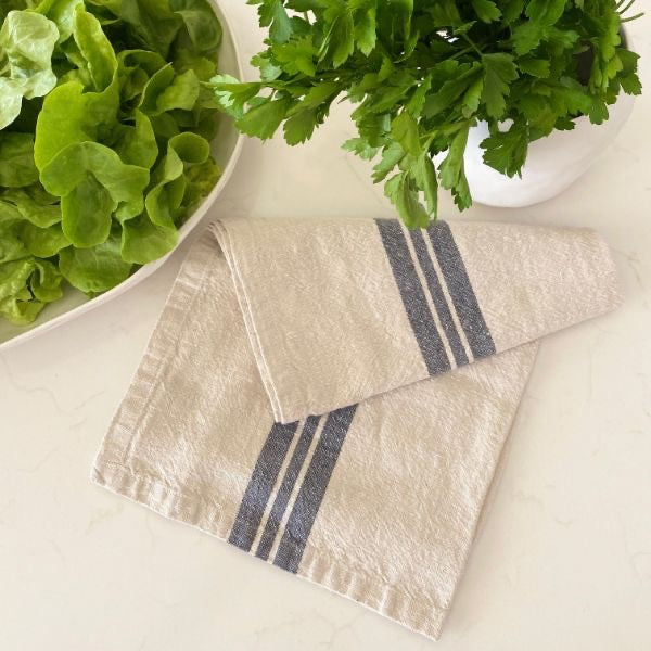 Tea Towel Set/2 - Blue Stripe