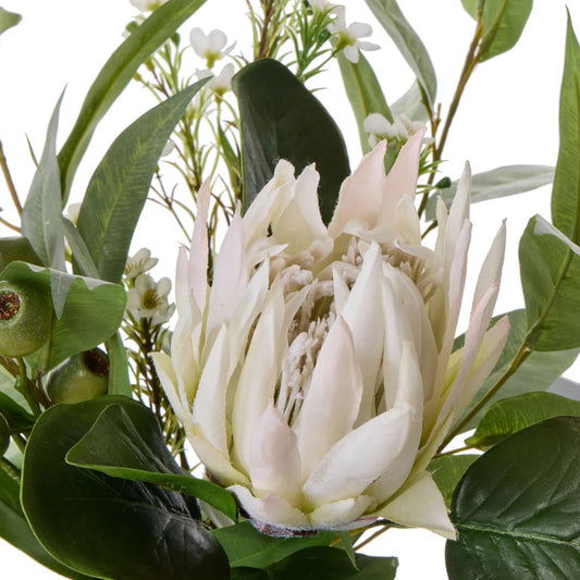 Rogue King Protea Native Mix - Claire White & Green