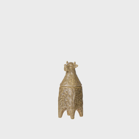 Ari Decorative Jars