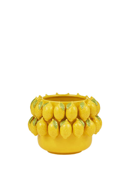 Limone Ceramic Pot