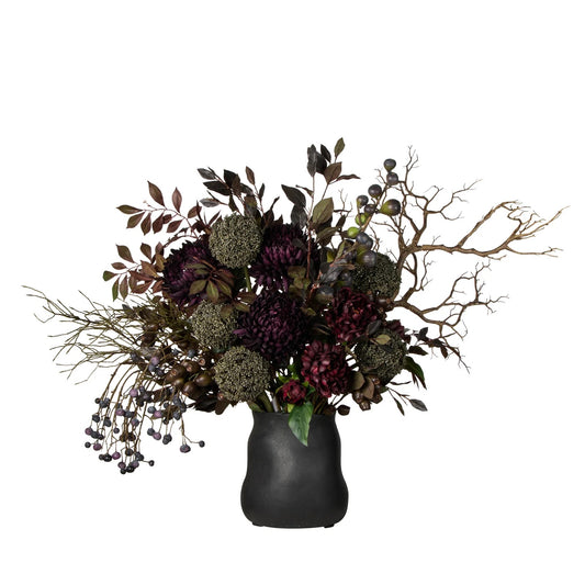 Rogue Chrysanthemum Fig Garden Mix - Maliah Pot Purple