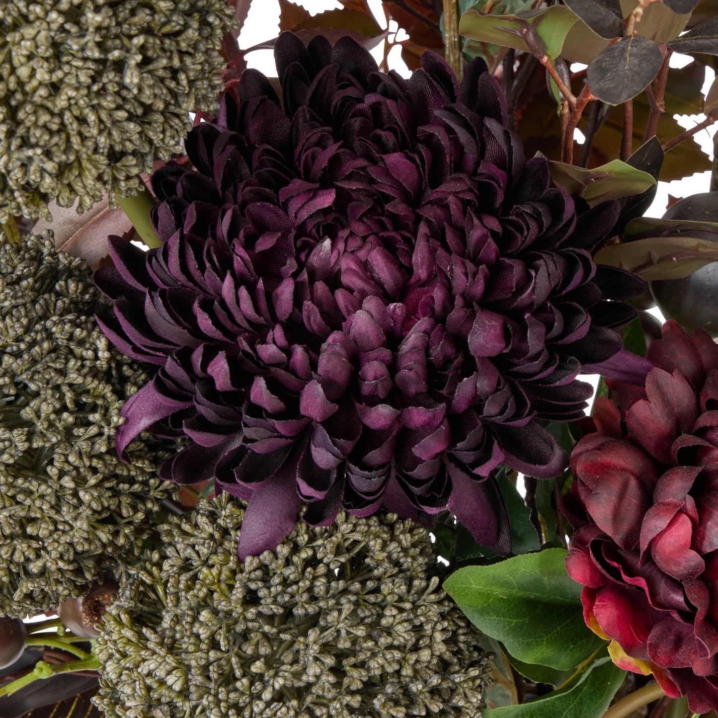 Rogue Chrysanthemum Fig Garden Mix - Maliah Pot Purple
