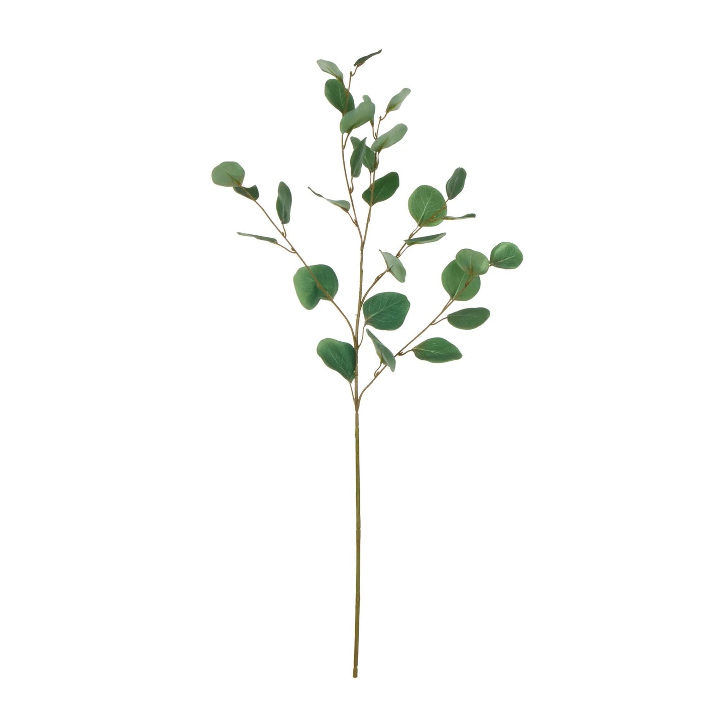 Rogue Round Eucalyptus Spray