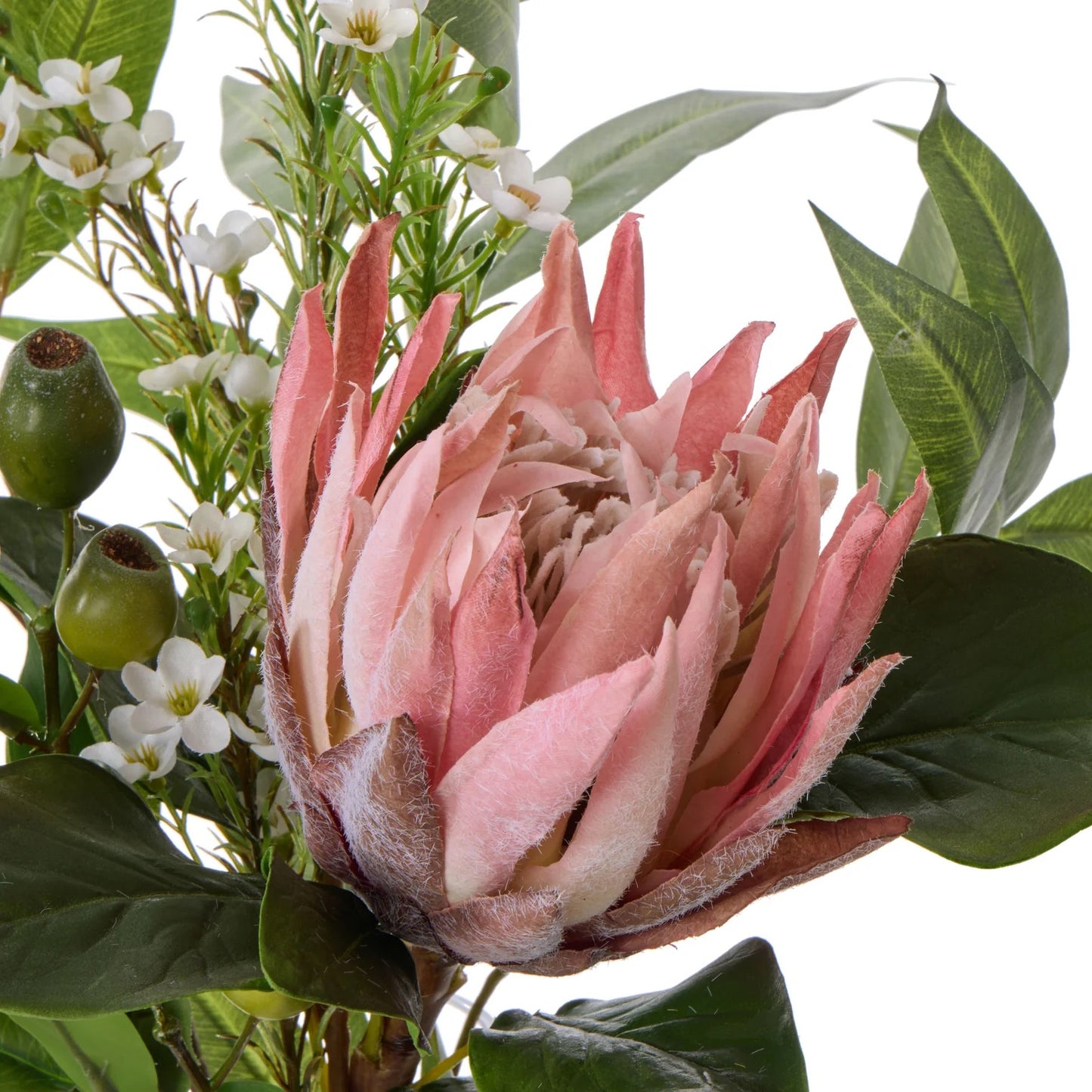 Rogue King Protea Native Mix - Claire Pink & Green