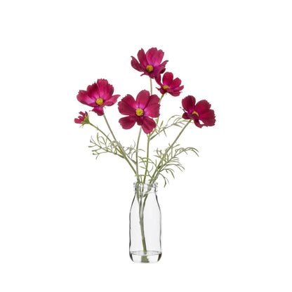 Cosmos in Milk Bottle - Burgundy