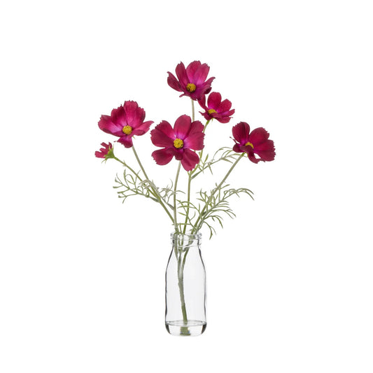 Cosmos in Milk Bottle - Burgundy