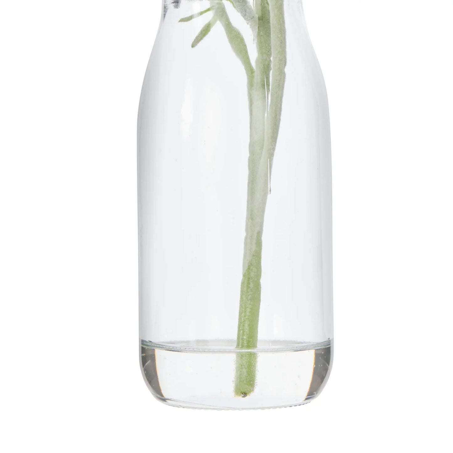 Cosmos in Milk Bottle - Burgundy