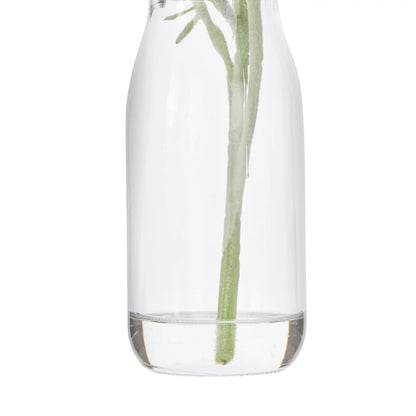 Cosmos in Milk Bottle - Burgundy