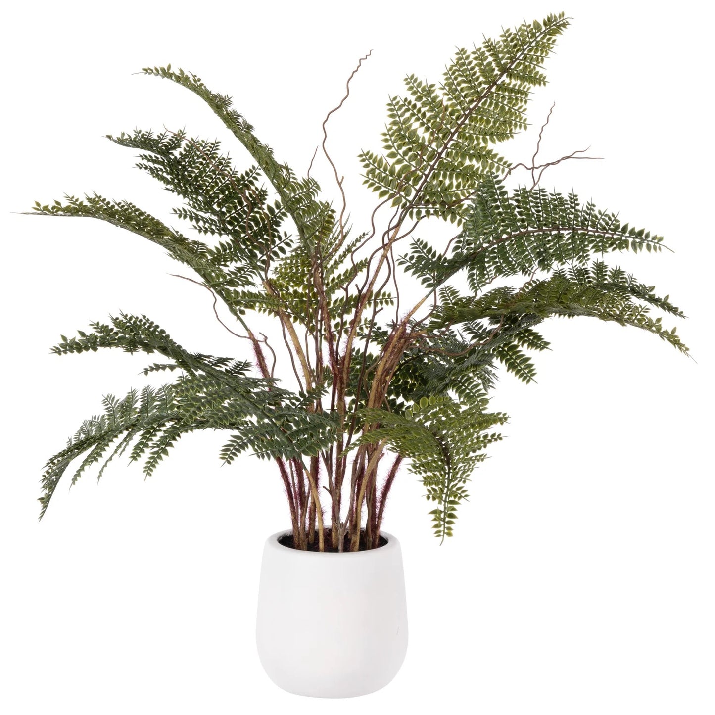 Mountain Wood Fern Pot - Small