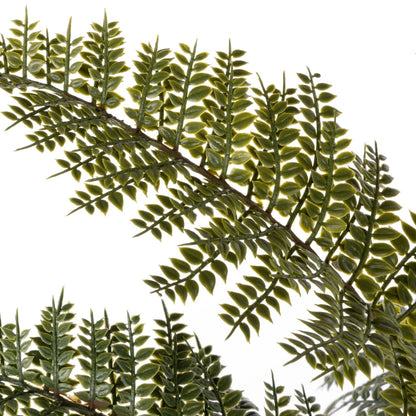 Mountain Wood Fern Pot - Large