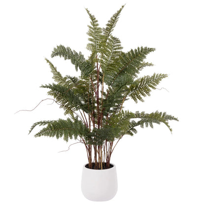 Mountain Wood Fern Pot - Large