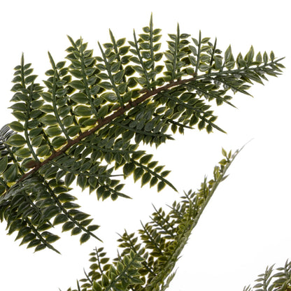 Mountain Wood Fern Pot - Large