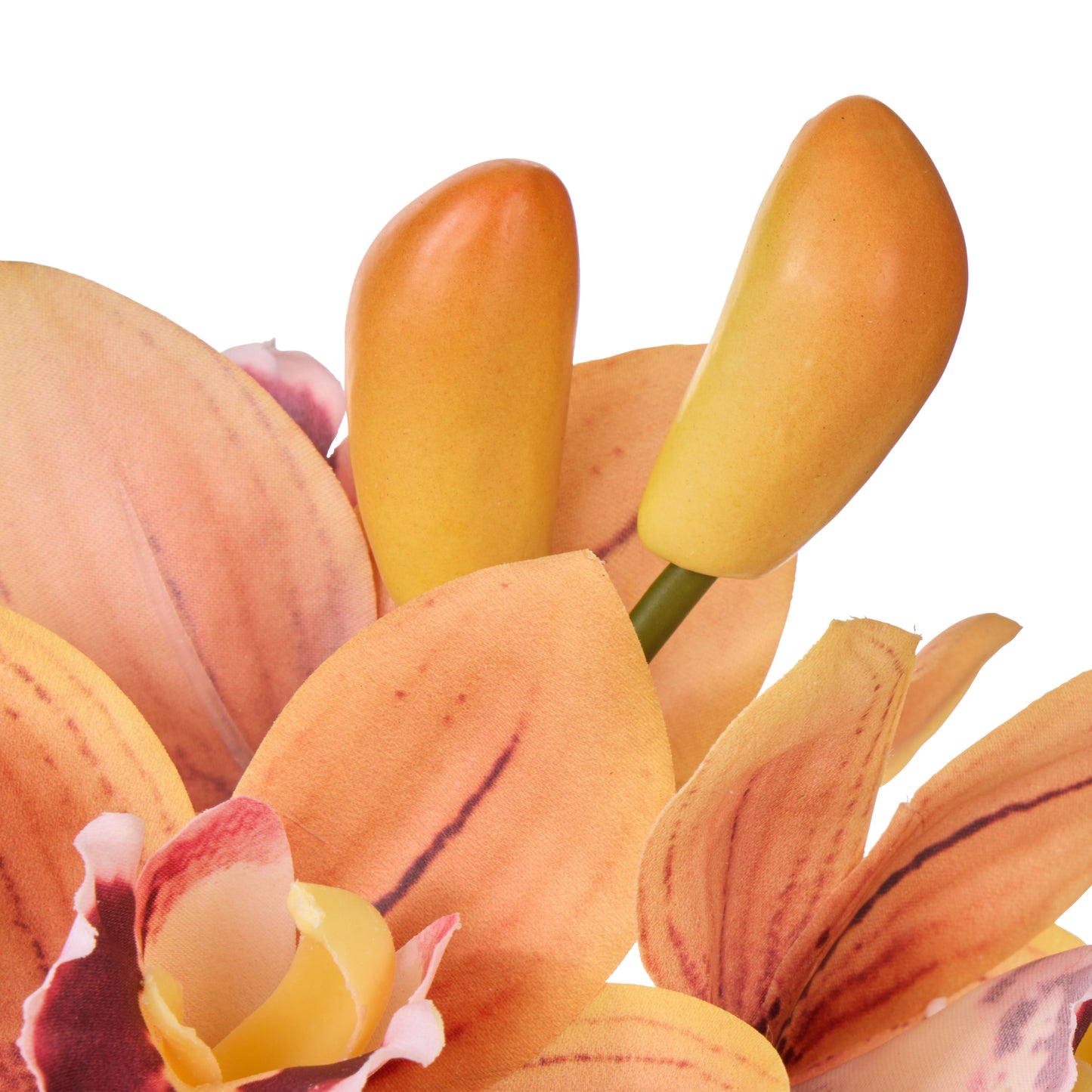 Cymbidium Orchid Glass Vase - Orange