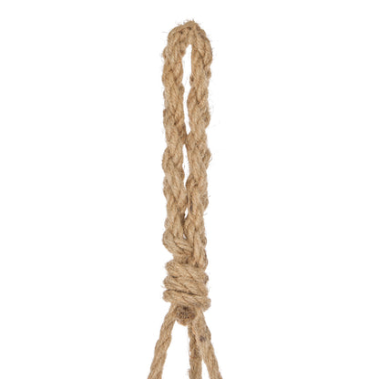 Staghorn - Laos Hanging Green