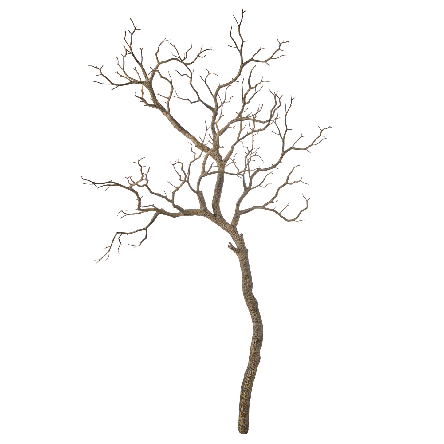 Single Try Branch Brown