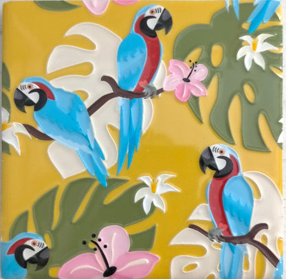 Glazed Ceramic Coaster Collection