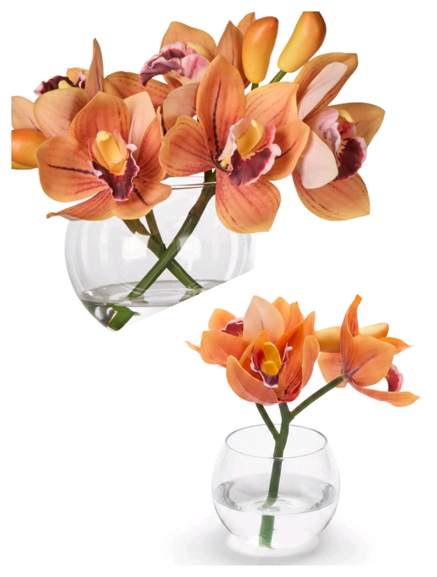 Cymbidium Orchid Glass Vase - Orange